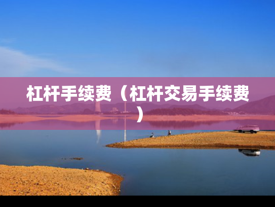 杠杆手续费（杠杆交易手续费）