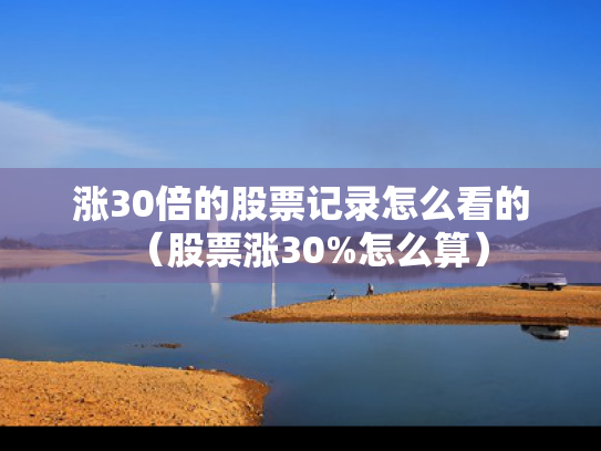 涨30倍的股票记录怎么看的（股票涨30%怎么算）