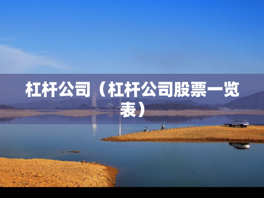 杠杆公司（杠杆公司股票一览表）