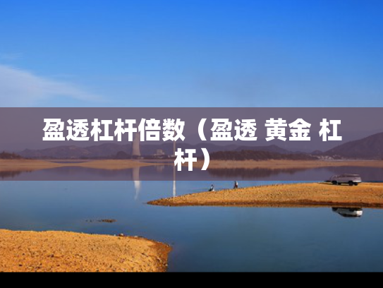 盈透杠杆倍数（盈透 黄金 杠杆）