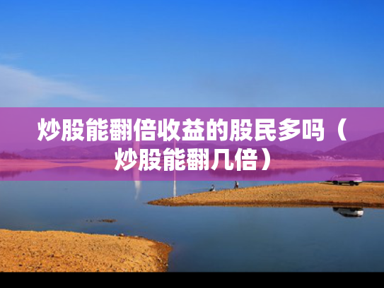 炒股能翻倍收益的股民多吗（炒股能翻几倍）