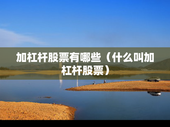 加杠杆股票有哪些（什么叫加杠杆股票）