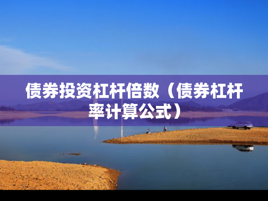 债券投资杠杆倍数（债券杠杆率计算公式）