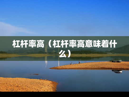 杠杆率高（杠杆率高意味着什么）