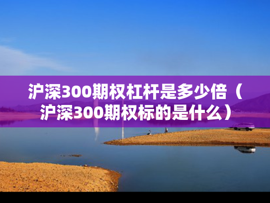 沪深300期权杠杆是多少倍（沪深300期权标的是什么）
