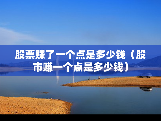 股票赚了一个点是多少钱（股市赚一个点是多少钱）