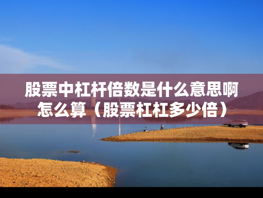 股票中杠杆倍数是什么意思啊怎么算（股票杠杠多少倍）