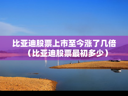 比亚迪股票上市至今涨了几倍（比亚迪股票最初多少）