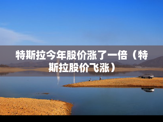 特斯拉今年股价涨了一倍（特斯拉股价飞涨）