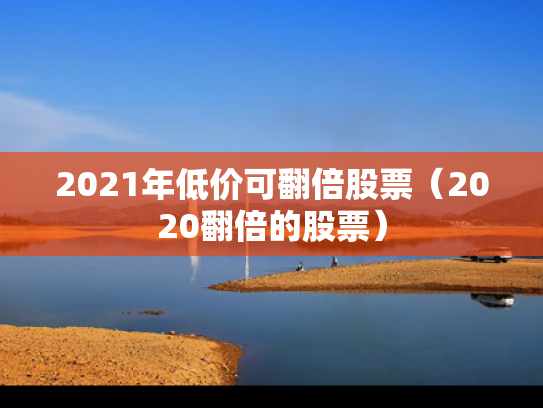 2021年低价可翻倍股票（2020翻倍的股票）