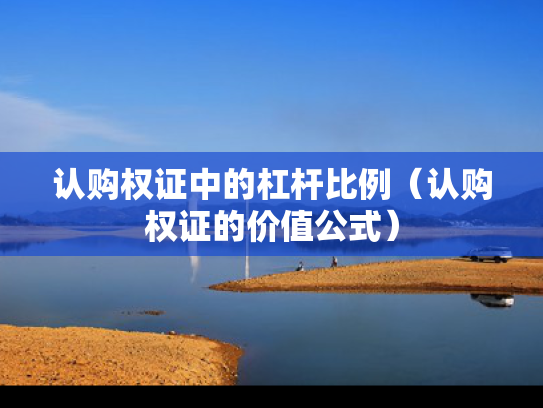 认购权证中的杠杆比例（认购权证的价值公式）