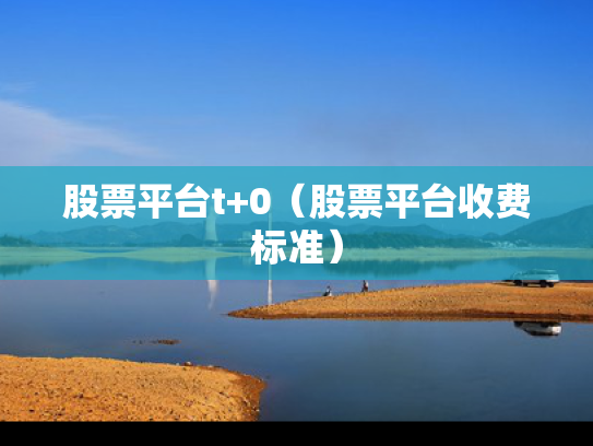 股票平台t+0（股票平台收费标准）