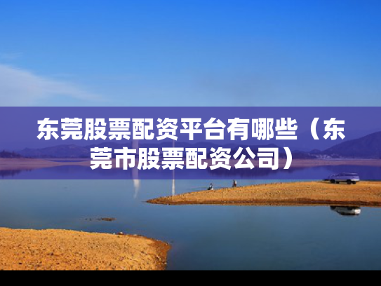 东莞股票配资平台有哪些（东莞市股票配资公司）