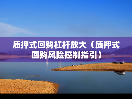质押式回购杠杆放大（质押式回购风险控制指引）