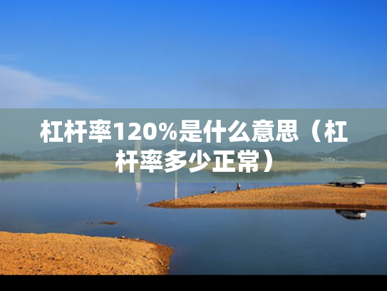 杠杆率120%是什么意思（杠杆率多少正常）