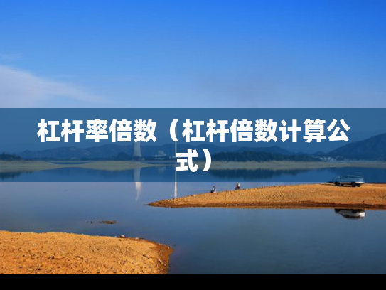杠杆率倍数（杠杆倍数计算公式）