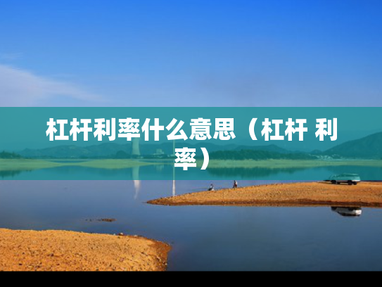 杠杆利率什么意思（杠杆 利率）