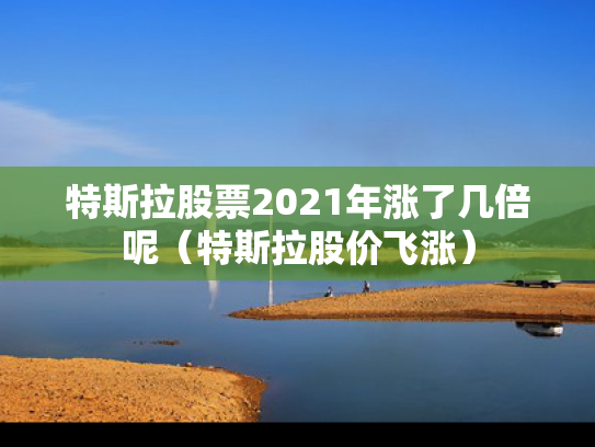 特斯拉股票2021年涨了几倍呢（特斯拉股价飞涨）