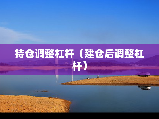 持仓调整杠杆（建仓后调整杠杆）