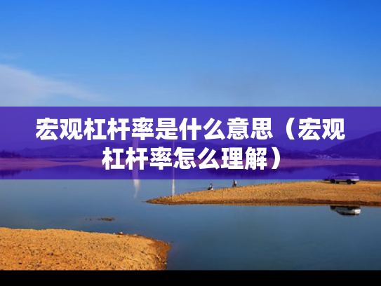 宏观杠杆率是什么意思（宏观杠杆率怎么理解）