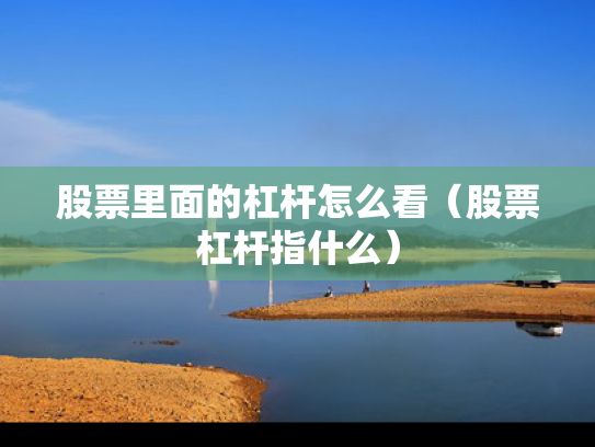 股票里面的杠杆怎么看（股票杠杆指什么）