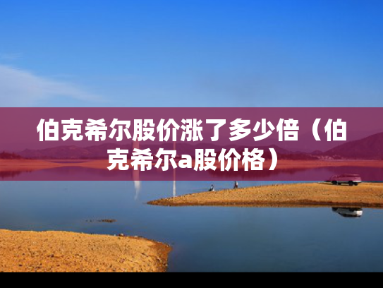 伯克希尔股价涨了多少倍（伯克希尔a股价格）