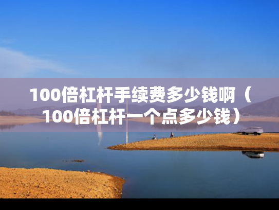 100倍杠杆手续费多少钱啊（100倍杠杆一个点多少钱）