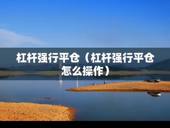 杠杆强行平仓（杠杆强行平仓怎么操作）