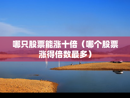 哪只股票能涨十倍（哪个股票涨得倍数最多）