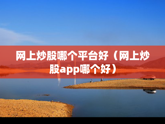 网上炒股哪个平台好（网上炒股app哪个好）