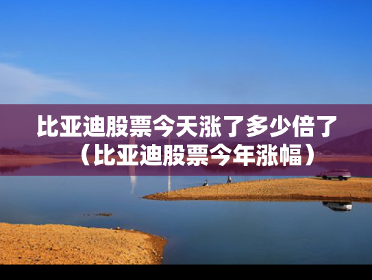 比亚迪股票今天涨了多少倍了（比亚迪股票今年涨幅）
