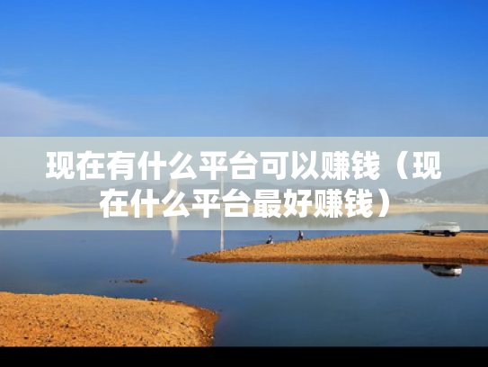 现在有什么平台可以赚钱（现在什么平台最好赚钱）