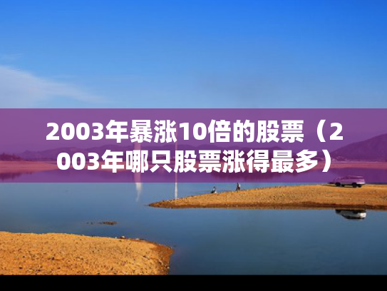 2003年暴涨10倍的股票（2003年哪只股票涨得最多）