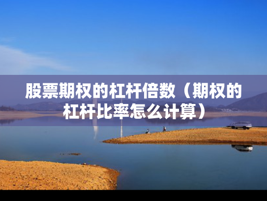 股票期权的杠杆倍数（期权的杠杆比率怎么计算）