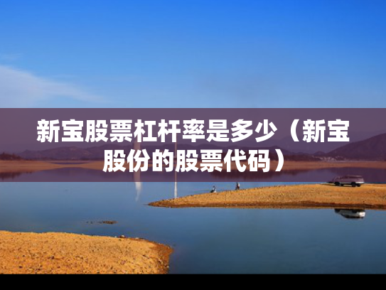 新宝股票杠杆率是多少（新宝股份的股票代码）
