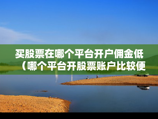 买股票在哪个平台开户佣金低（哪个平台开股票账户比较便宜）