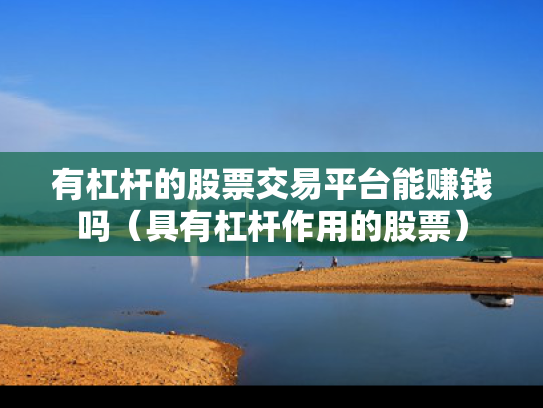 有杠杆的股票交易平台能赚钱吗（具有杠杆作用的股票）