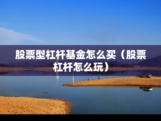 股票型杠杆基金怎么买（股票杠杆怎么玩）