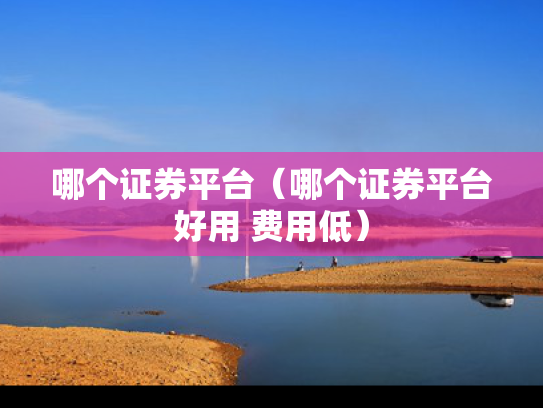 哪个证券平台（哪个证券平台好用 费用低）