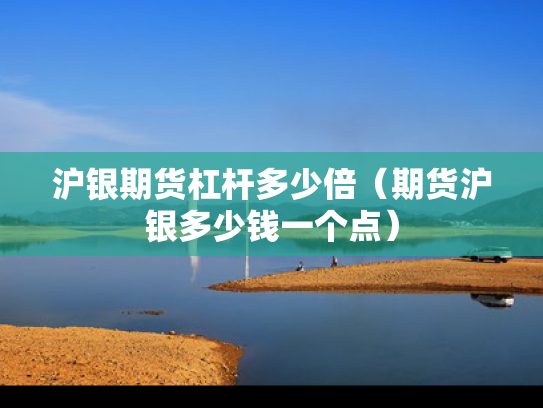 沪银期货杠杆多少倍（期货沪银多少钱一个点）