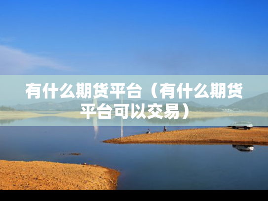 有什么期货平台（有什么期货平台可以交易）