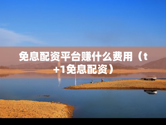 免息配资平台赚什么费用（t+1免息配资）