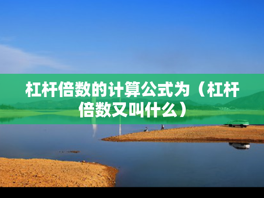 杠杆倍数的计算公式为（杠杆倍数又叫什么）
