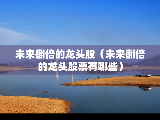 未来翻倍的龙头股（未来翻倍的龙头股票有哪些）