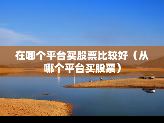 在哪个平台买股票比较好（从哪个平台买股票）