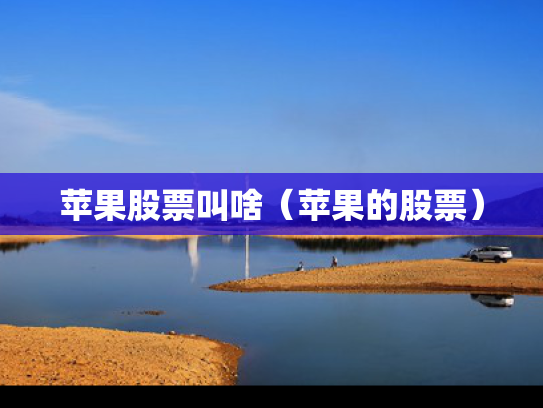 苹果股票叫啥（苹果的股票）