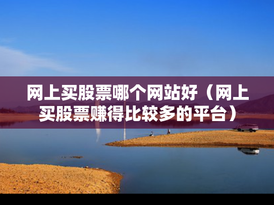 网上买股票哪个网站好（网上买股票赚得比较多的平台）