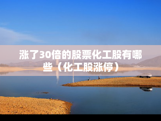 涨了30倍的股票化工股有哪些（化工股涨停）