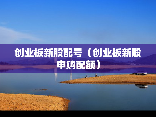 创业板新股配号（创业板新股申购配额）