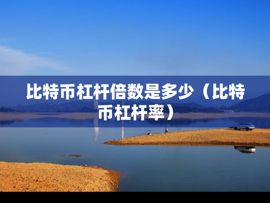 比特币杠杆倍数是多少（比特币杠杆率）